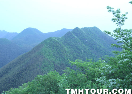 南山竹海