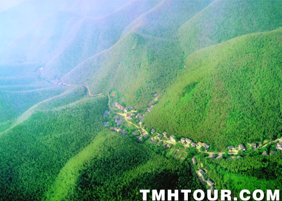南山竹海