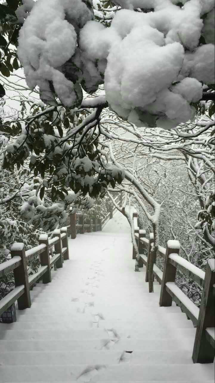 南山竹海雪景