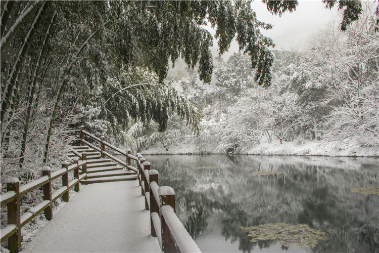 南山竹海雪景
