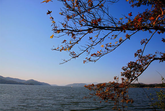 天目湖秋