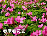 天目湖旅游精彩体验