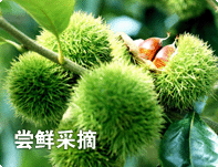天目湖旅游精彩体验