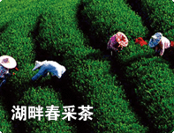 天目湖旅游精彩体验