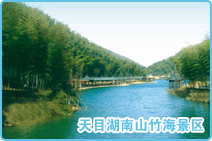 天目湖南山竹海