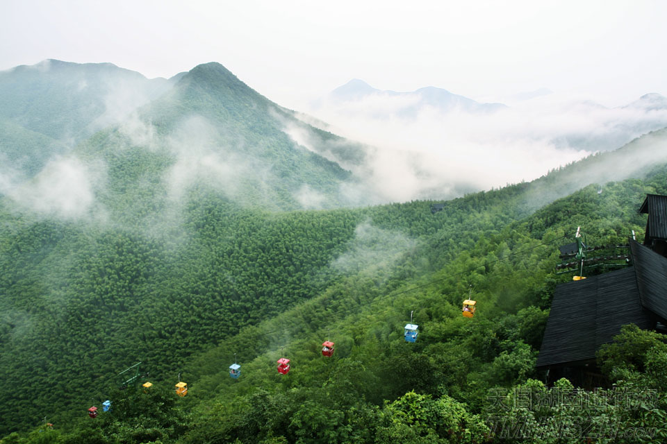 漫享竹尖听涛声