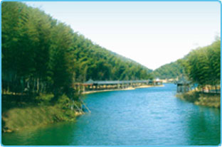 天目湖南山竹海景区